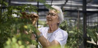 Unas cinco mujeres ganan el Premio Nansen para los Refugiados 2024 de Acnur