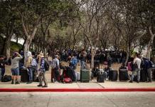 Campesinos mexicanos que llegan a EE.UU. crean un bosque de maletas de esperanza