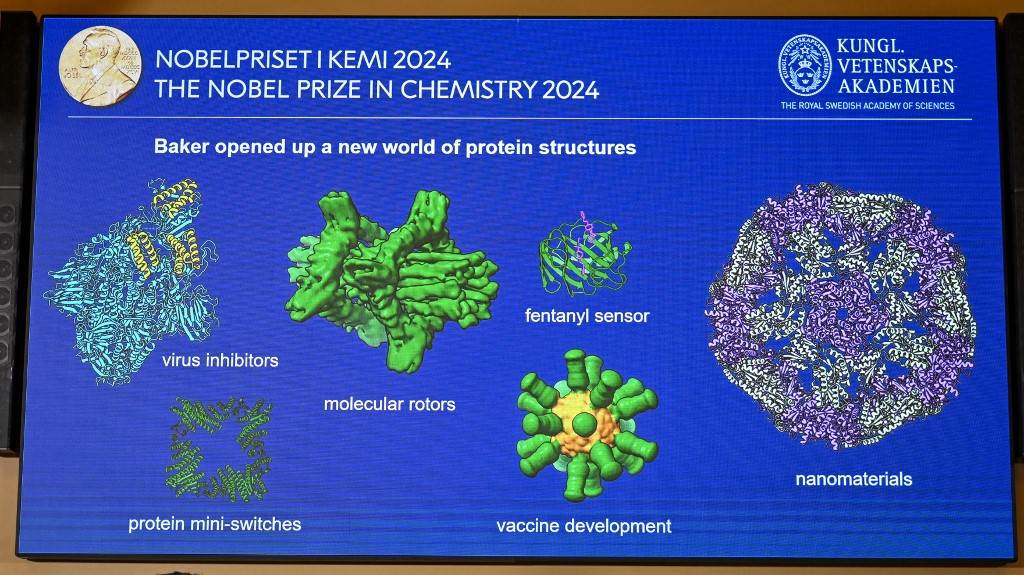 El Nobel de Química premia los avances sobre la predicción de la estructura de las proteínas con IA