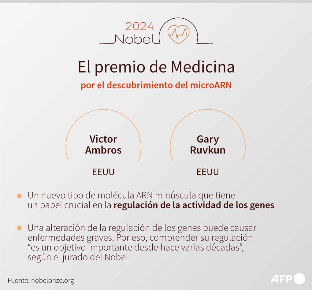 Dos estadounidenses ganan el Nobel de Medicina por los avances en la regulación de los genes