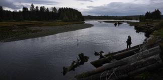 Las Galápagos del Norte en Canadá, modelo de protección de la biodiversidad