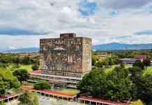 Nueva especie de árbol es descubierta por expertos de la Universidad Autónoma de México