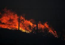 Los incendios forestales han disparado un 60% las emisiones mundiales de CO2 en 2 décadas