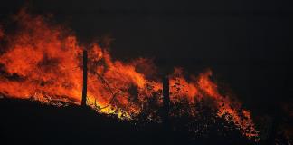 Los incendios forestales han disparado un 60% las emisiones mundiales de CO2 en 2 décadas