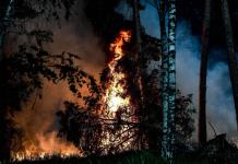 Récords de emisiones de carbono en continente americano a causa de los incendios forestales, según observatorio europeo