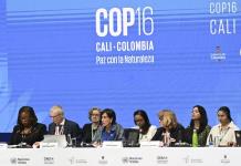 No perdamos tiempo: comienza en Colombia la COP16 para proteger la biodiversidad