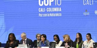 Petro asegura que la COP16 en Colombia generó ingresos de casi USD 28 millones