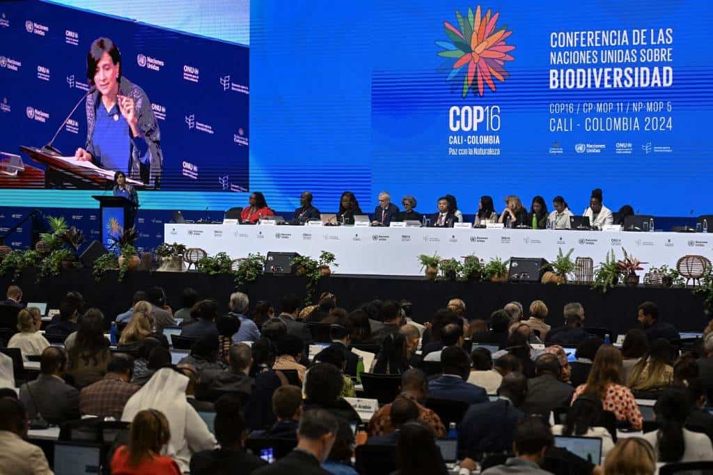 No perdamos tiempo: comienza en Colombia la COP16 para proteger la biodiversidad