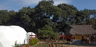 Investiga Profepa nuevo glamping irregular en La Primavera; suma 3 denuncias