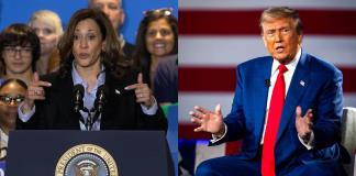 El duelo Trump-Harris daña la salud mental: 70% de estadounidenses tiene estrés electoral