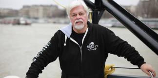 Francia rechaza el asilo político al activista ecologista Paul Watson