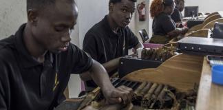 Puros fabricados en Mozambique se abren paso en el mundo de los cigarros