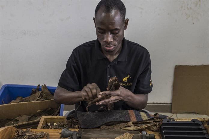 Puros fabricados en Mozambique se abren paso en el mundo de los cigarros