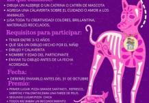 Los niños ocotlenses ya pueden participar en el concurso Alebrijes y Catrinas de 4 Patas