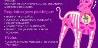 Los niños ocotlenses ya pueden participar en el concurso Alebrijes y Catrinas de 4 Patas