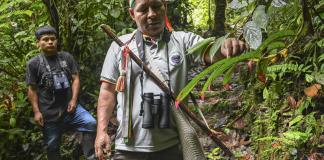 Indígenas awás de Colombia: frente a la violencia, una conexión con la naturaleza