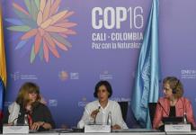 Lecciones del covid en la COP16: proteger el planeta para evitar los virus