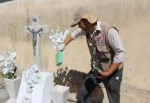 Secretaría de Salud recomienda flores de plástico en cementerios para evitar dengue