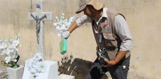 Secretaría de Salud recomienda flores de plástico en cementerios para evitar dengue