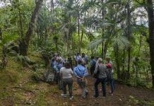 Crisis existencial: jefe de la ONU alerta sobre la destrucción de la naturaleza en COP16