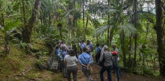 Crisis existencial: jefe de la ONU alerta sobre la destrucción de la naturaleza en COP16