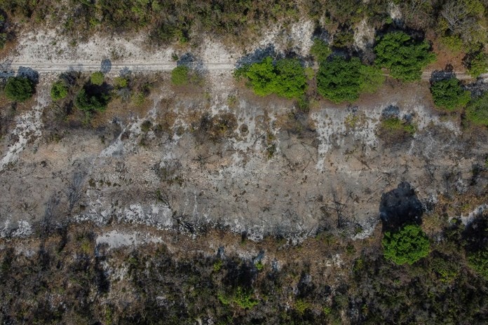 El Cerrado brasileño rebrota tras los incendios pero tiene sus límites