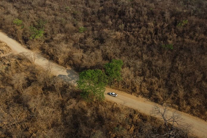 El Cerrado brasileño rebrota tras los incendios pero tiene sus límites