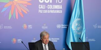 Insta Guterres a actuar ya porque para 2050 podría haber más plástico que peces en el mar