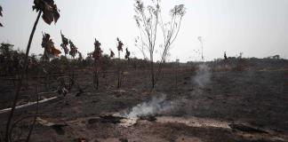 Una sequía sin precedentes afecta a más de 420.000 niños en la Amazonía, alerta Unicef