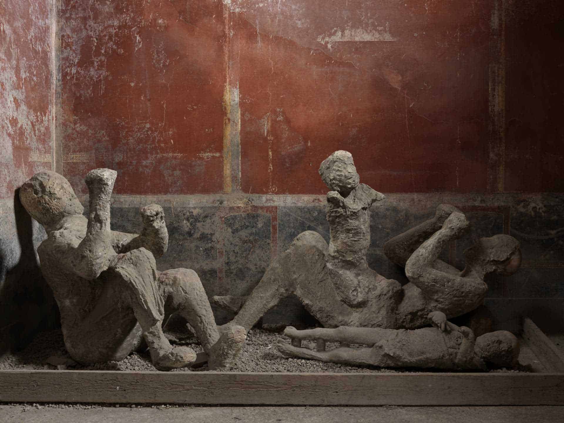 El ADN antiguo reescribe las historias de las víctimas del Pompeya