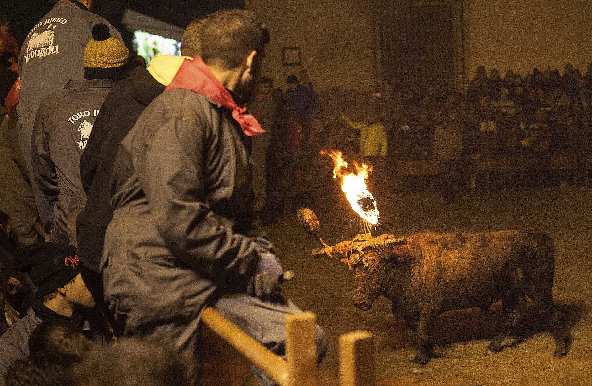 Justicia española suspende fiesta del toro de fuego y defiende bienestar del animal