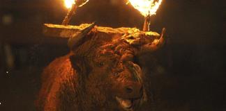 Justicia española suspende fiesta del toro de fuego y defiende bienestar del animal