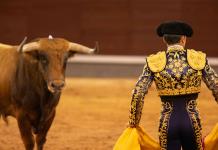 Los menores y las corridas de toros, ¿cuál es la situación en el mundo?