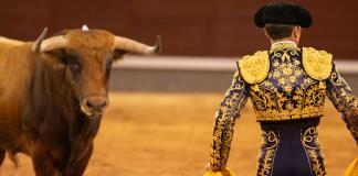 Los menores y las corridas de toros, ¿cuál es la situación en el mundo?