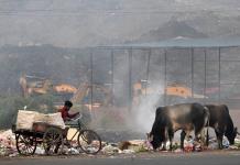 Quemas agrícolas ilegales alimentan la contaminación en la capital india