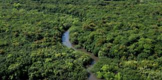 Uruguay: un pequeño país con una gran ambición verde de cara al balotaje