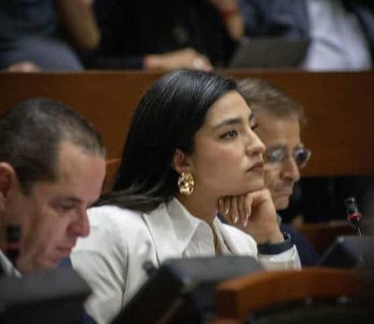 Jalisco es primer lugar nacional en impunidad por feminicidios, dijo legisladora en la Glosa