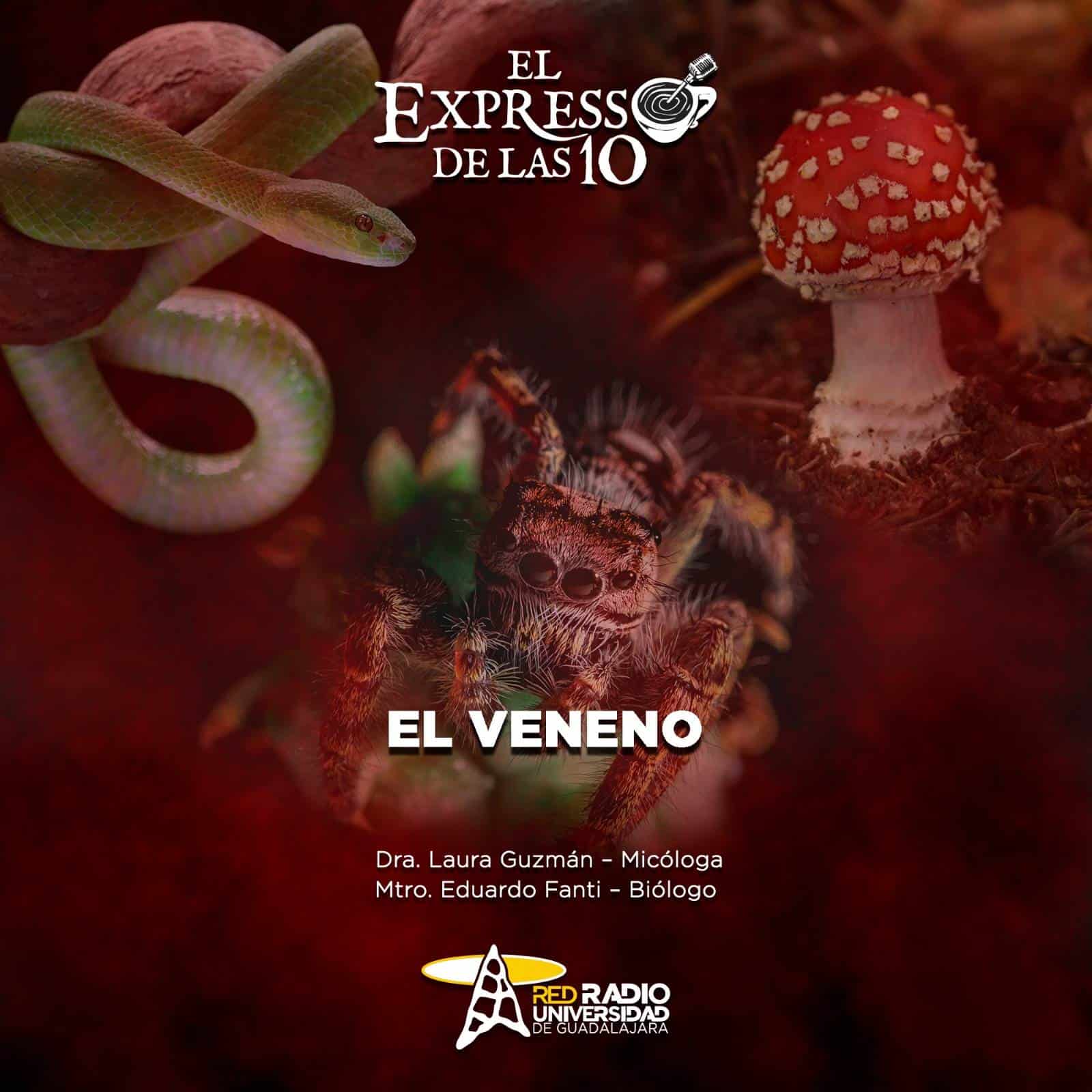 El Veneno - El Expresso de las 10 - Mi. 27 Noviembre 2024