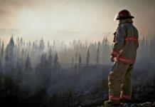 Contaminación de aire por incendios, ligada a 1,5 millones de muertes anuales