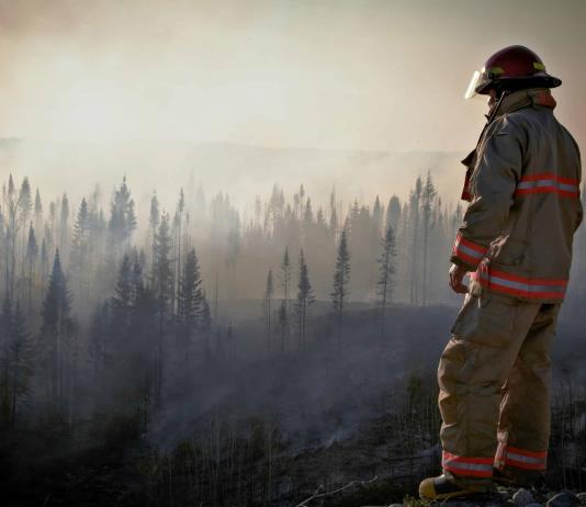 Contaminación de aire por incendios, ligada a 1,5 millones de muertes anuales