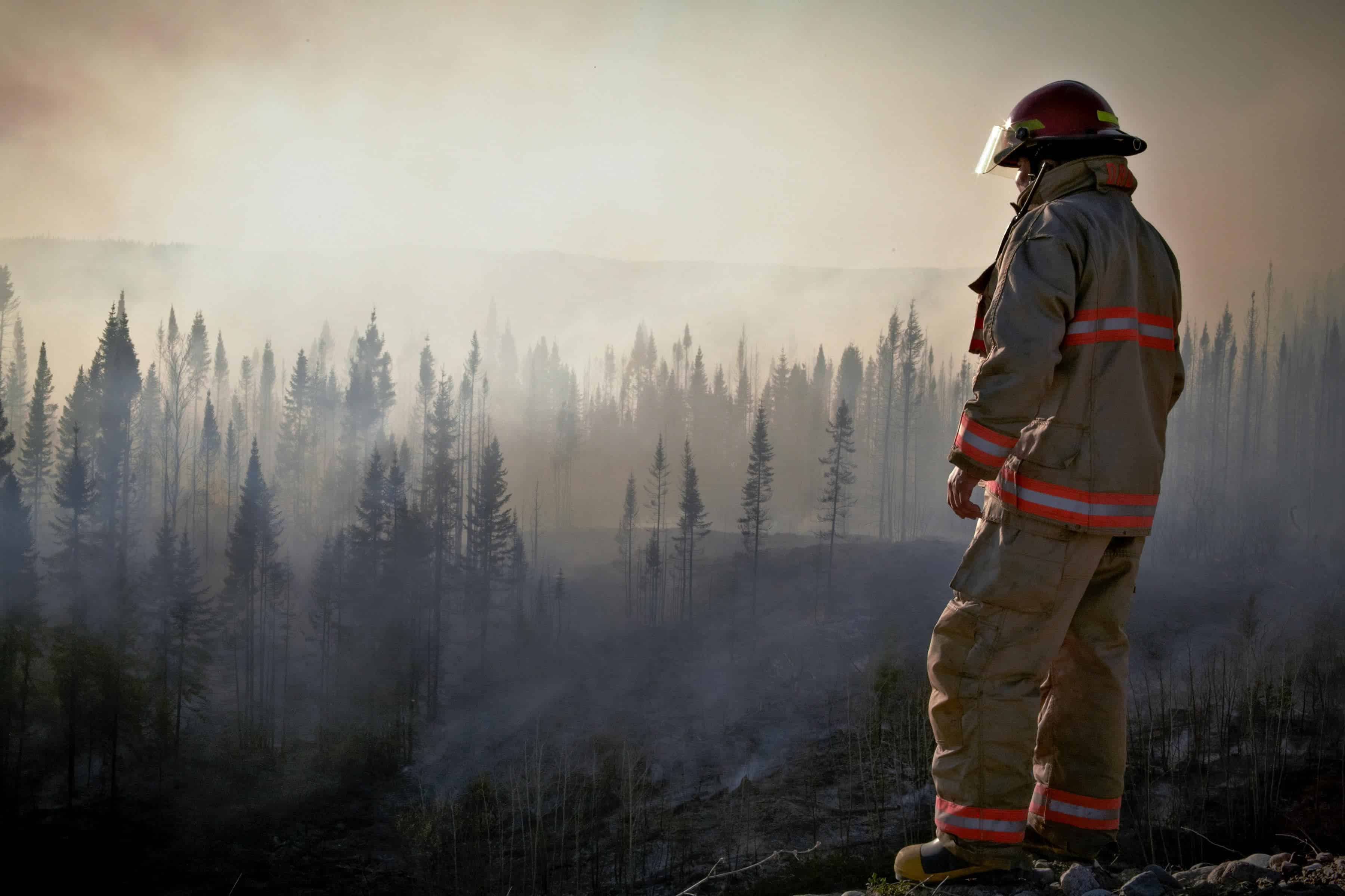 Contaminación de aire por incendios, ligada a 1,5 millones de muertes anuales