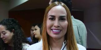 La ex diputada Érika Pérez García fue elegida como presidenta del Comité Estatal de Morena