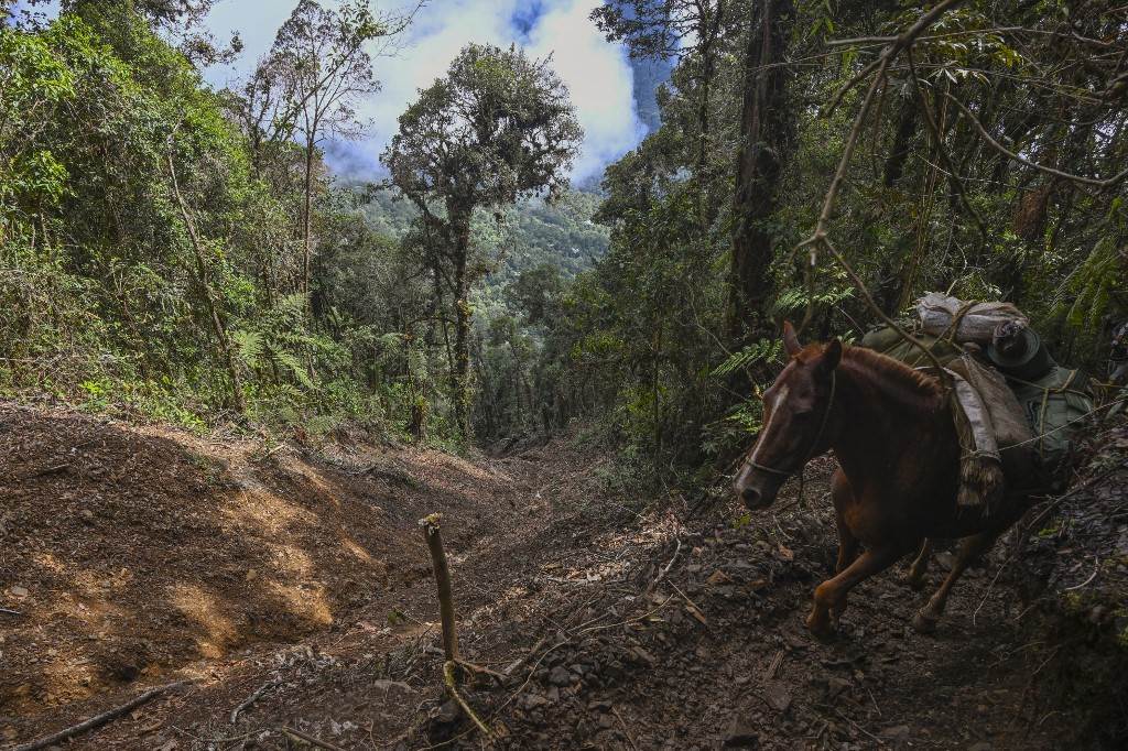 La batalla contra las minas ilegales de oro en Colombia