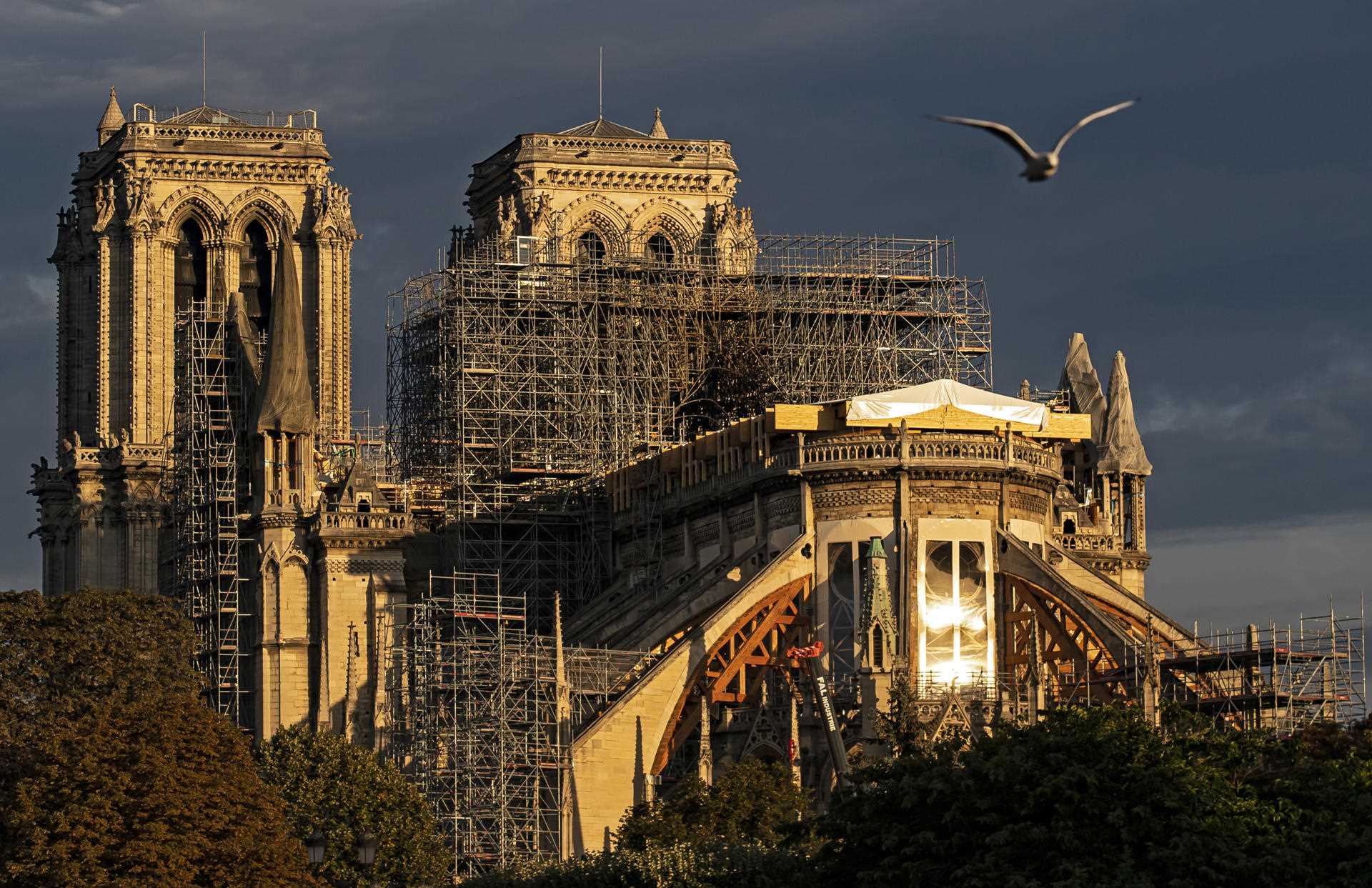 Notre Dame, la catedral más famosa recupera su piedra blanca