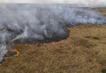 Incendios forestales en América: Un año de devastación ambiental y humanitaria