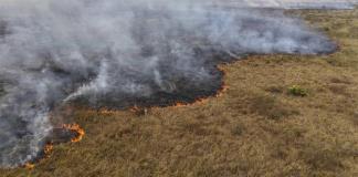 Incendios forestales en América: Un año de devastación ambiental y humanitaria