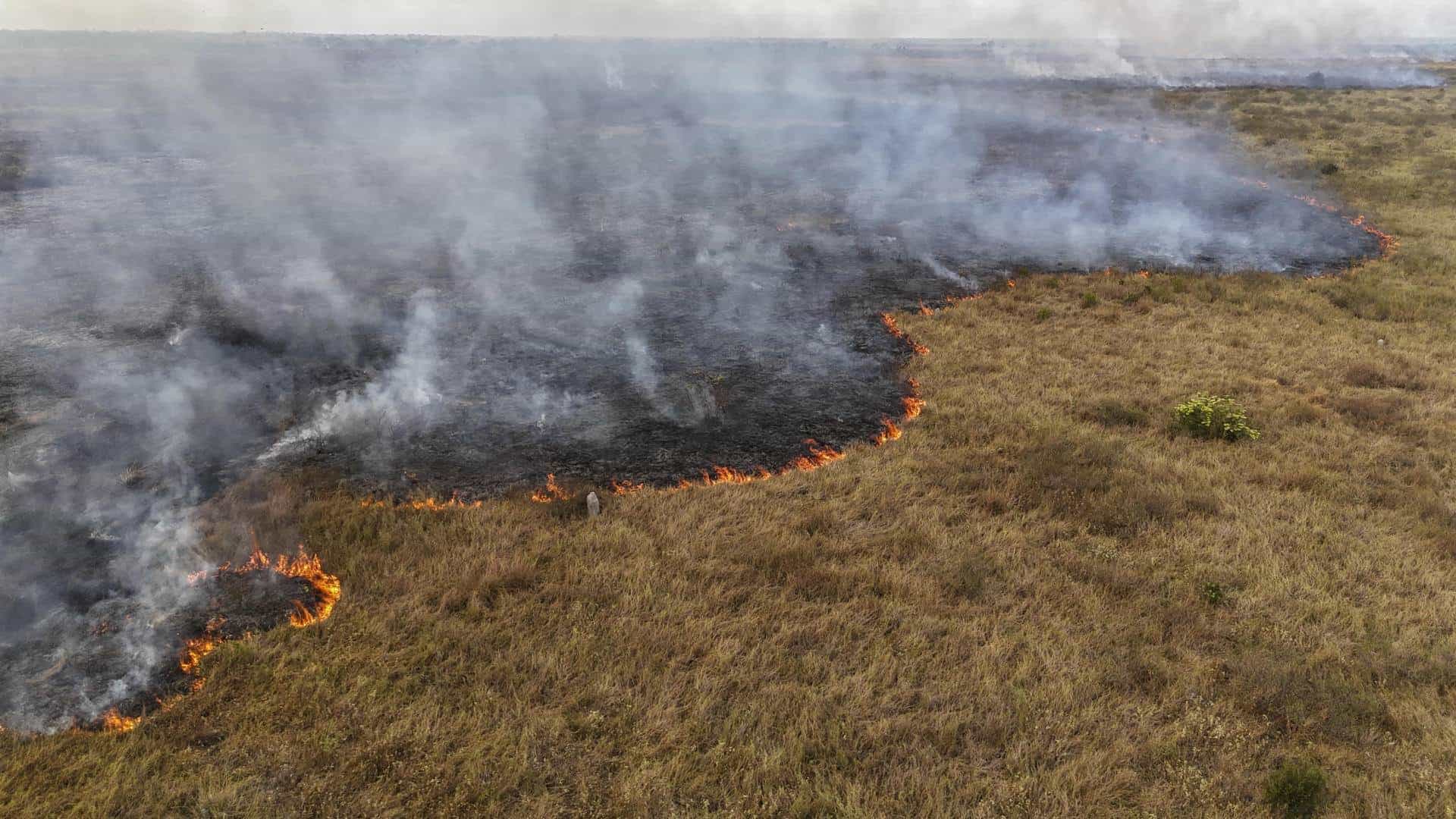 Superficie quemada en Brasil se duplica este año y se acerca a 30 millones de hectáreas