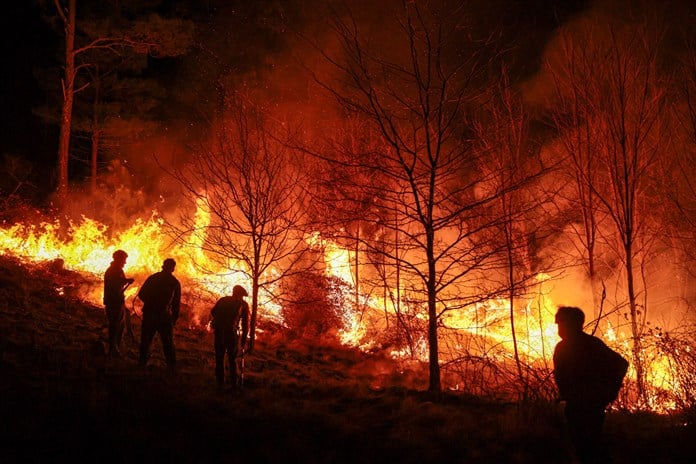 Incendios forestales en América: Un año de devastación ambiental y humanitaria