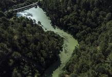 Inundaciones y falta de agua, efectos de los cambiantes caudales fluviales en el mundo