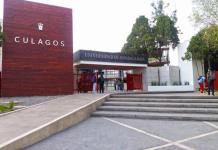 Estudiantes de psicología en CULagos presentan proyectos finales